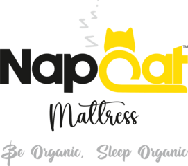 Napcat