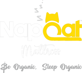 Napcat